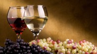 wine-grapes-white-green-blue-red-glass-hd-wallpaper-921